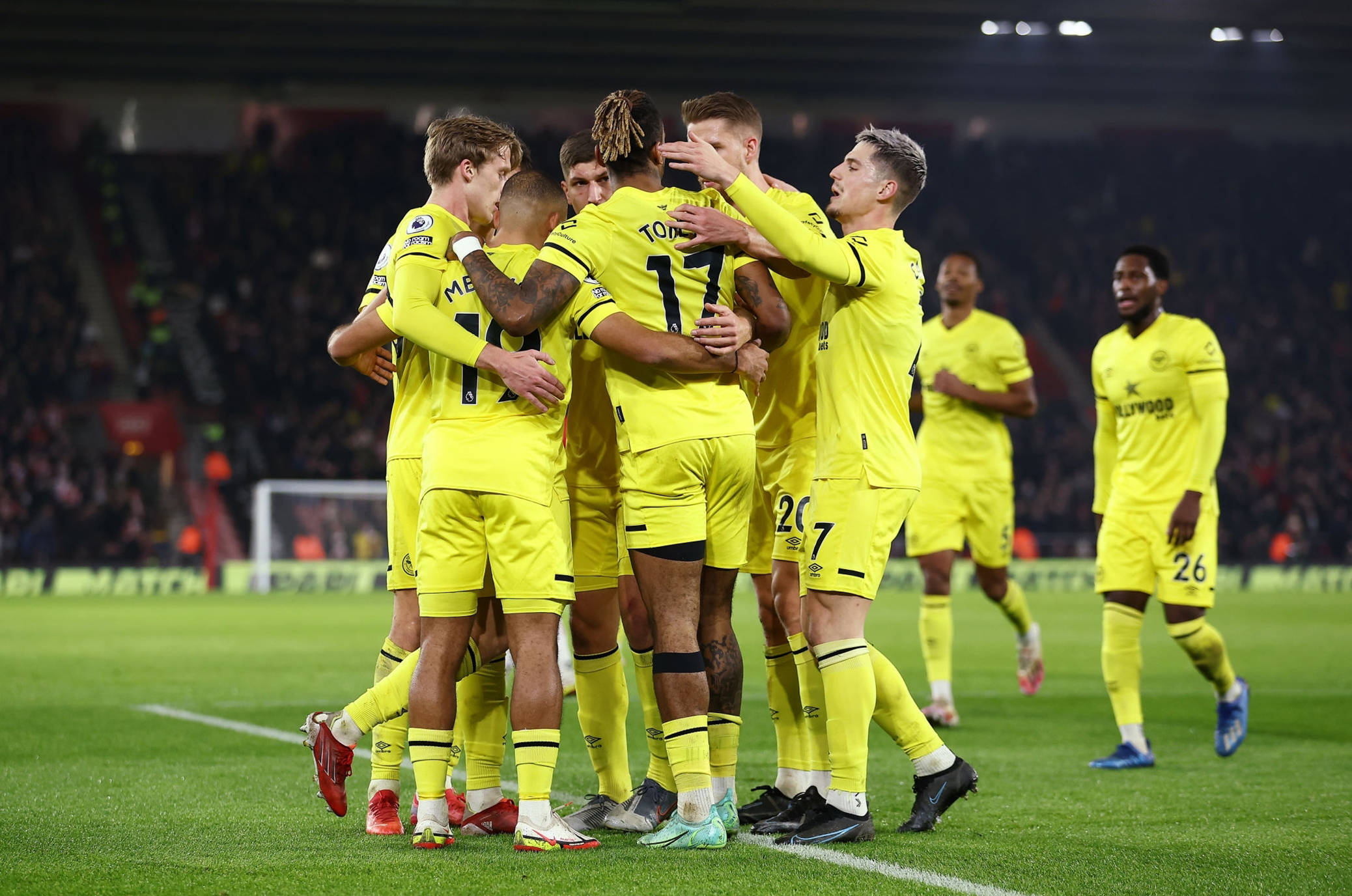 这枚新星的 这枚新星的